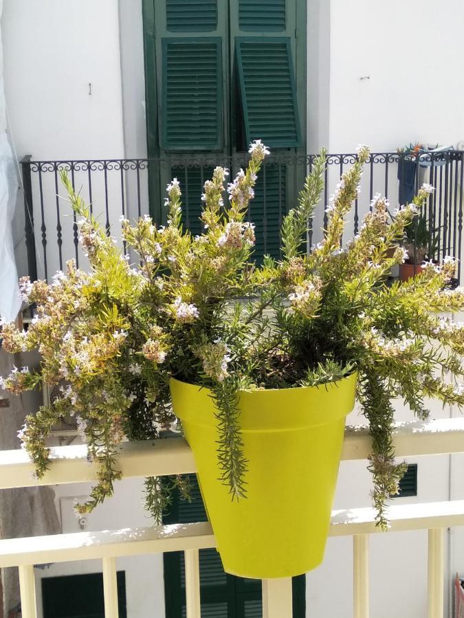 Dimora Dioniso Acomodação com café da manhã Polignano a Mare Exterior foto